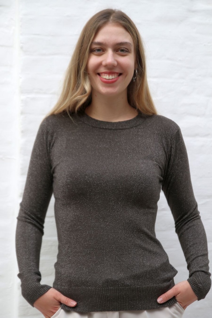 Pull Neveah nm45 lurex ronde hals fijn geribd 