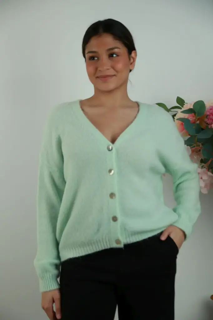 Sebastiaan nm25 suri alpaca, V-hals cardigan met lange mouwen