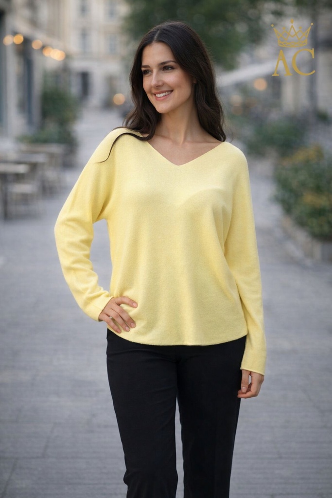Pull Nourreddine nm50 v-hals lange mouwen