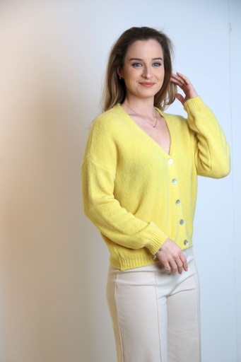 Cardigan Jodie V-hals super fijne alpaga
