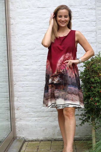 Dress Moos forest with house nm100