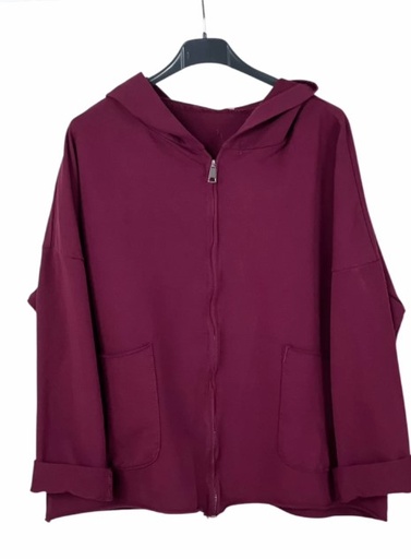 [10017223] Sweatervest Mark met capuchon nm95