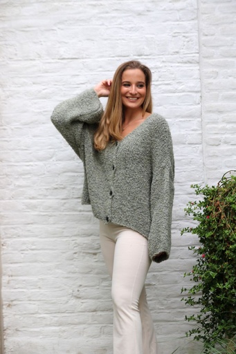 [10017271] Cardigan Lotus nm22 bouclÃ© V-hals 5 knopen