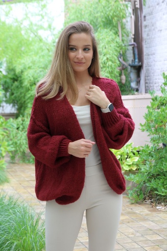 [10017264] Tricot vest Louay nm18 grove steek oplegnaad