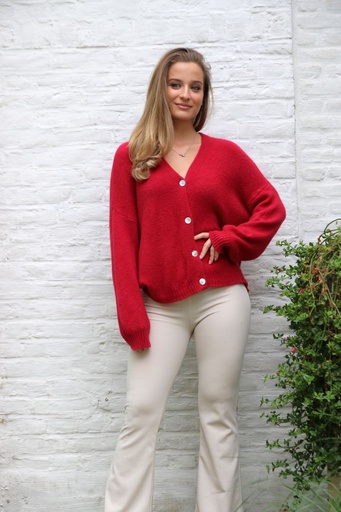 [10017262] Cardigan Larissa nm25 col en V 4 boutons en nacre contient du baby alpaga et de la laine