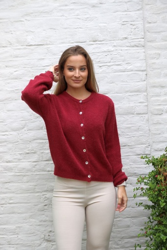 [10017280] Cardigan Lieuwe nm25 col rond 25 pour cent super fin alpaga