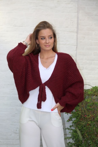 [10017432] Cardigan Lela nm26 XL bolero vleermuismouw lintsluiting 