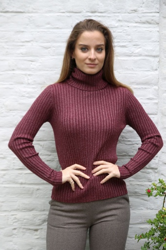 Pull Nour nm45 geribd glamy rolkraag