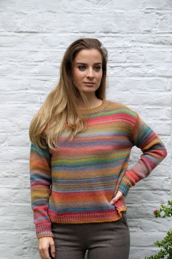 [201001] Pull Nikolai nm53 ronde hals geribde hals zoom manchette 