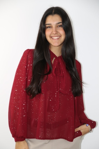 [201028] Cocktail blouse Leyna jabotkraag glamy tule wijde mouw gepofte manchet