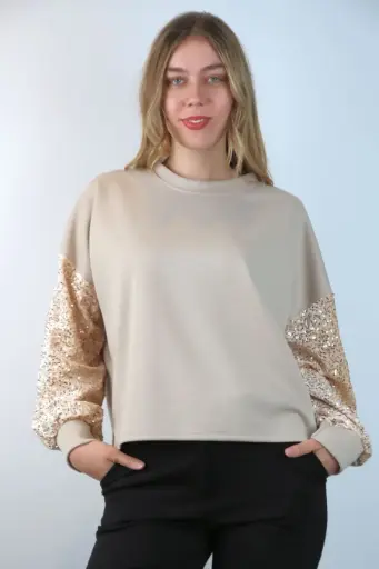 [201068] Sweater Pieternella nm60 ronde hals pajetten op mouwen