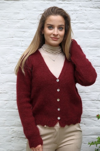 [201508] Mohair cardigan Niobe nm65 hals nacré knopen  
